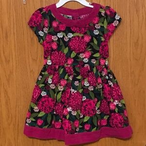 Gymboree Girl’s Dress size 3T.